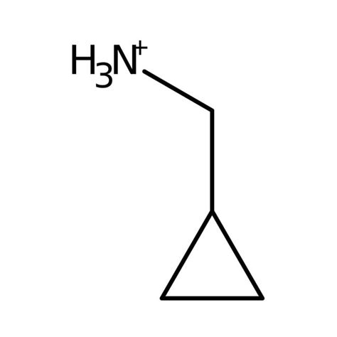 Aminomethyl Cyclopropane Thermo Scientific Chemicals