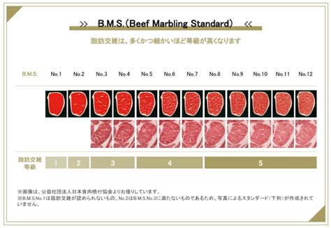 A5は味の評価ではない。牛肉の等級 ランクの決まり方。 有限会社矢野畜産