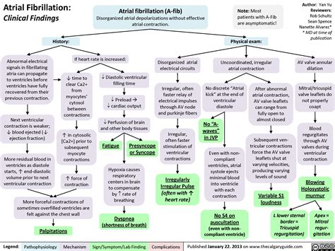 Atrial Fibrillation Clinical Findings Calgary Guide 34170 Hot Sex Picture