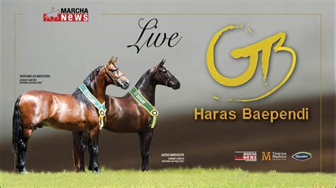 LIVE HARAS BAEPENDI YouTube