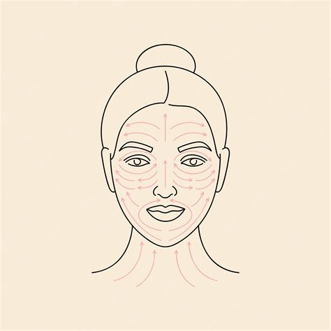 Méthode Dillustration Vectorielle Pour Le Massage Du Visage Visage