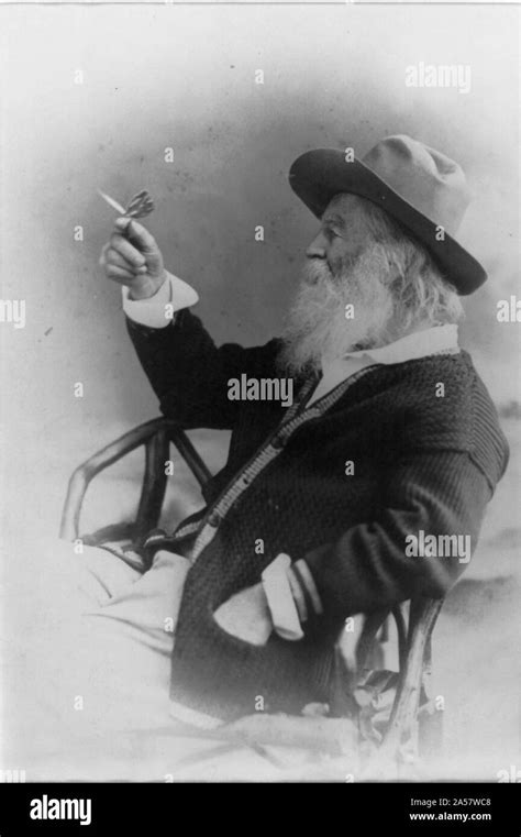 Walt Whitman Half Length Portrait Seated Facing Left Wearing Hat