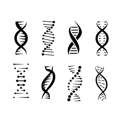 DNA Spiralen Icons gesetzt Desoxyribonukleinsäure Nukleinsäurehelix