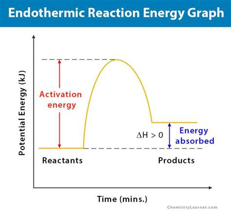 Anatomy Of An Endothermic Reaction Visualizing The Energy Diagram