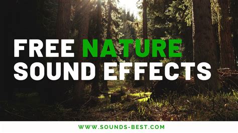 Free Nature Sound Effects To Enhance Your Project Youtube