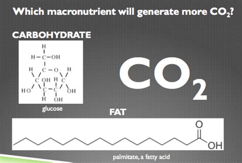 Nutritional Chem 7 Glycolysis And Beta Oxidation 1 Carbon Dioxide