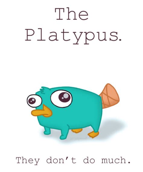 PERRY! - Perry the Platypus Photo (31143243) - Fanpop