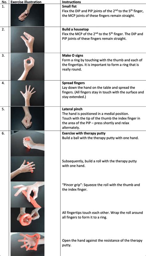 The hand exercise programme dip distal interphalangeal joint mcp – Artofit