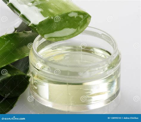 Extract Of Aloe Vera Plant Royalty Free Stock Photos - Image: 12899518