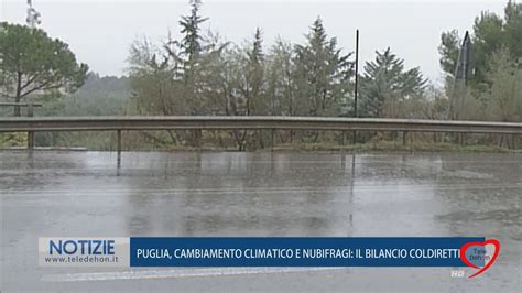 Puglia Cambiamento Climatico E Nubifragi Il Bilancio Coldiretti Youtube