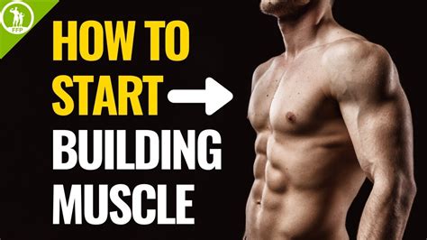 How To Start Building Muscle For Beginners Weightblink