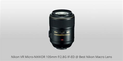 9 Best Macro Lenses for Nikon to Buy in 2025