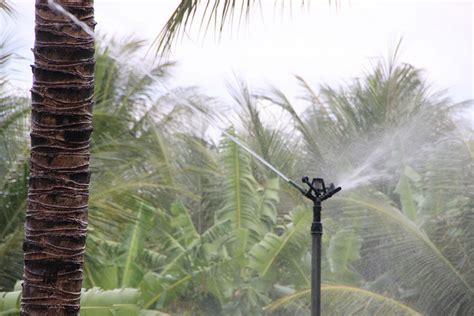 Uso Eficiente Da Gua Amplia A Produ O E A Rea Cultivada Em