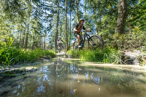 Nieuwe Mountainbikeroutes In De Oostkantons Ostkantons Pers