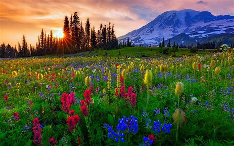 Mount Rainier Colorful Lovely Bonito Sunset Sky Mountain