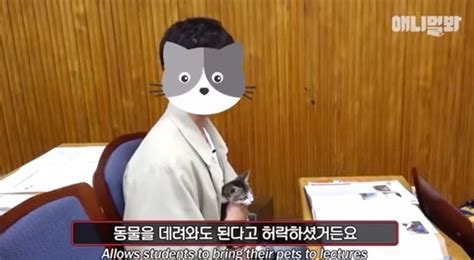 유튜버 갑수목장 민낯 유기동물 아닌 펫샵 분양 인정 “학대는 아냐” 손에 잡히는 뉴스 눈에 보이는 뉴스 뉴스엔