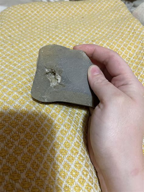 Found while fossil hunting on the Jurassic Coast. : r/whatsthisrock