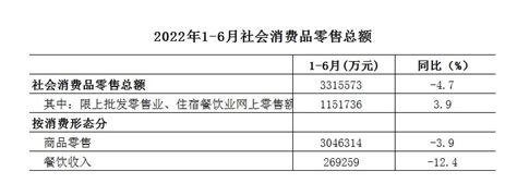 （北京市）昌平区2022年1 6月社会消费品零售总额 可行性研究报告调研数据 大牛工程师