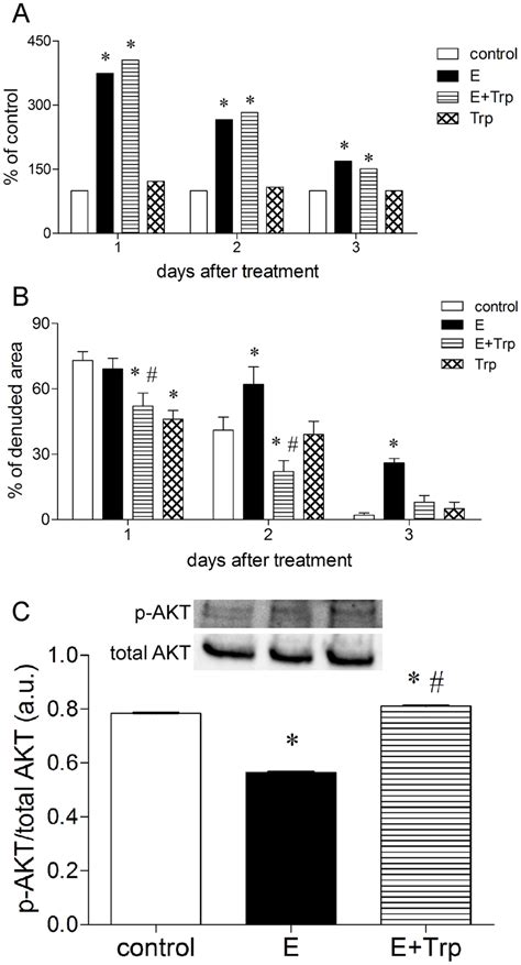 Tryptophan Administration Inhibits Epinephrine Induced Impairment In