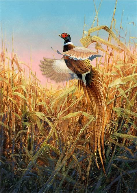 Pheasant Original Artwork Hunting Art Contemporary Wildlife Art