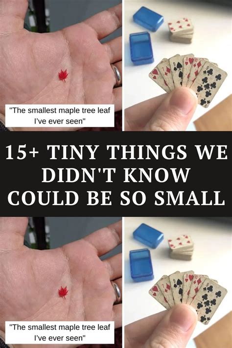 tiny   didn      small artofit