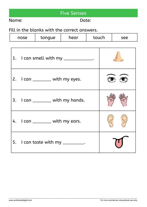 Five Senses - Worksheet Digital