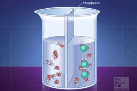 Semipermeable Membrane - American Chemical Society