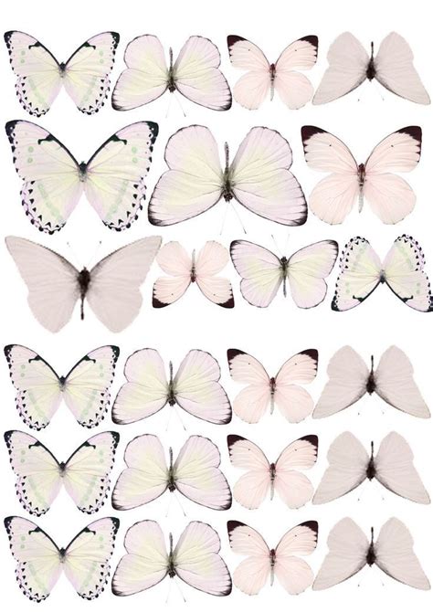 Pin By Sofia Mejia Llanos On Imagenes Butterfly Printable Butterfly