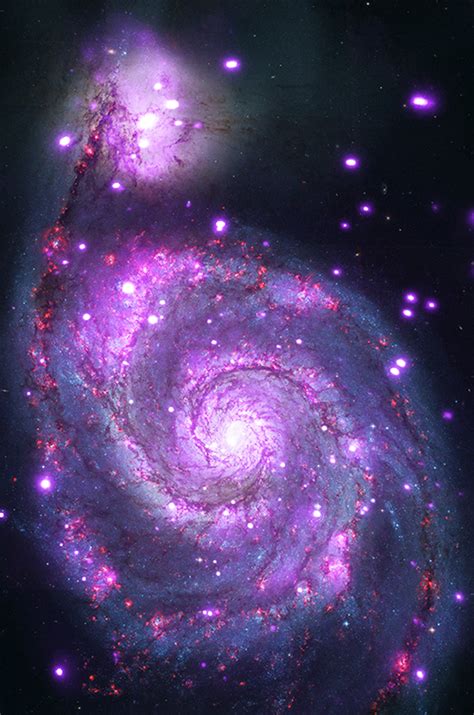 Space oddity: The Whirlpool galaxy is dotted with black holes