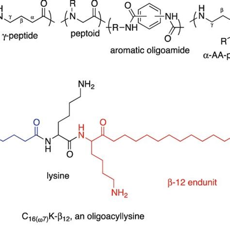 5 General structures of α-peptides, β-peptides, γ-peptides, aromatic ...