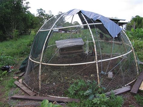 How To Build A Geodesic Chook Dome Milkwood Permaculture Courses