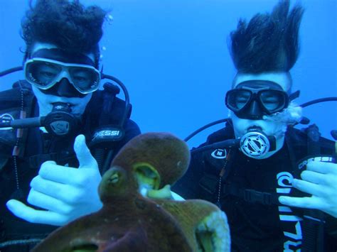 Best First Time Scuba Diving In Honolulu Hawaii