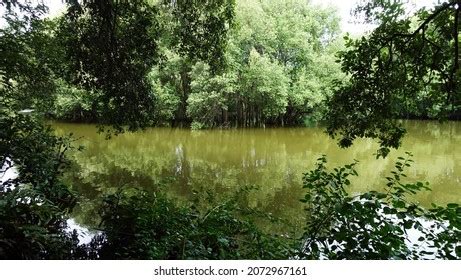 Taman Wisata Alam Mangrove Angke Kapuk Stock Photo