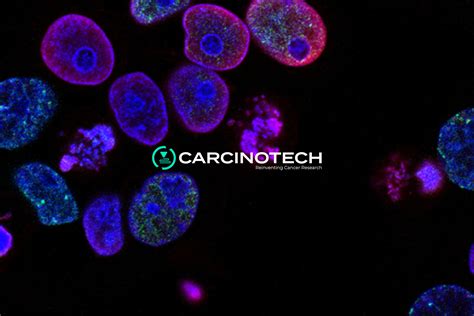 D Bioprinting Cellink And Carcinotech Collaborate On Cancer Drug