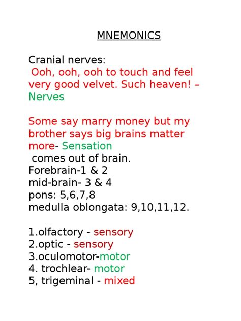 Mnemonics Cranial Nerves Ooh Ooh Ooh To Touch And Feel Very Good