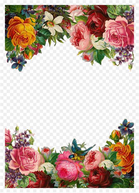 Flower Rose Frame Collection Vintage Composition Beautiful Flower