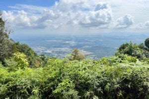 Gunung Lambak Kluang Hiking Guide • The Gees Travel