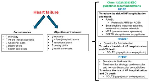 Dapagliflozin And Heart Failure Encyclopedia Mdpi