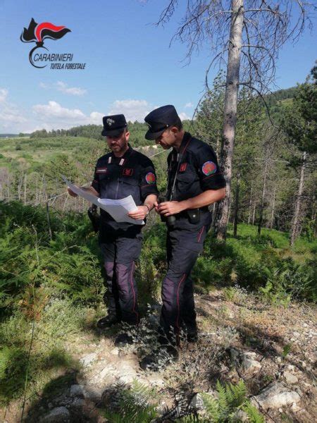 Castroregio Franco Lofrano Notizie Sull Alto Jonio