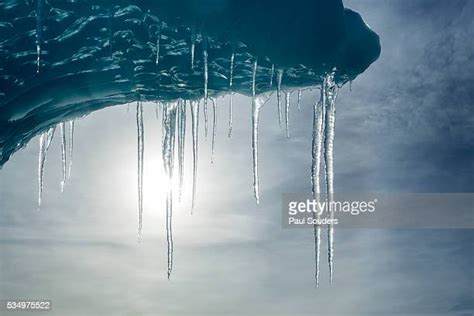 118 Icebergs Wilhelmina Bay Antarctica Stock Photos, High-Res Pictures ...