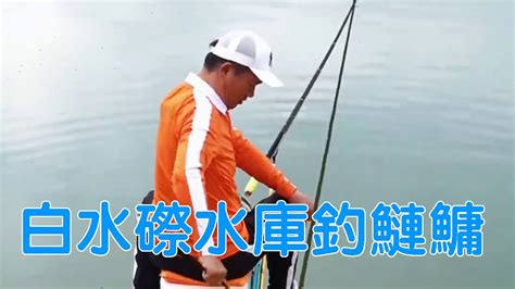 鄧剛釣魚丨白水磜水庫，100塊錢一天，老闆大方開設釣鰱鳙【天元鄧剛】 Youtube