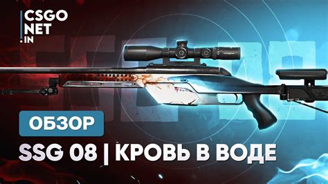 SSG 08 Blood in the Water Кровь в воде CS GO YouTube