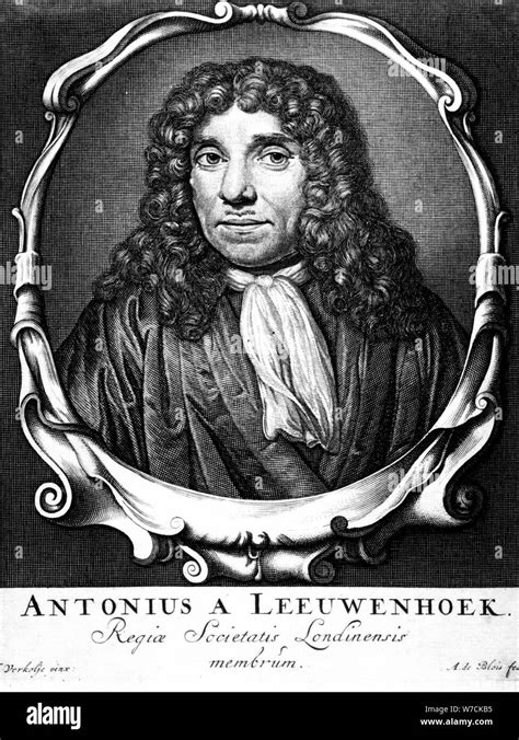 Anton Van Leeuwenhoek Fotografías E Imágenes De Alta Resolución Alamy