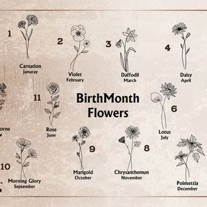 Birth Month Flowers Engraved Portfolio Personalized Refillable