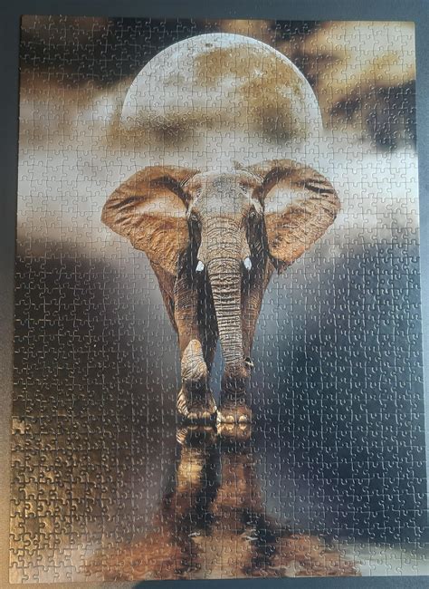 Finished My 1000 Pieces Elephant Puzzle R Jigsawpuzzles