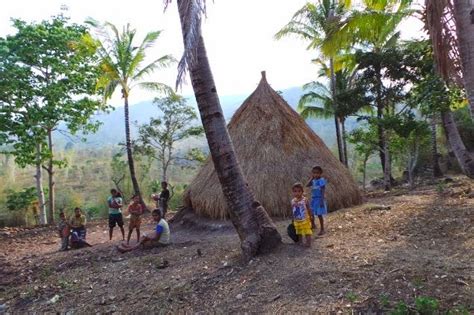 Rumah Bulat Rumah Tradisional Ntt Yang Rentan Penyakit