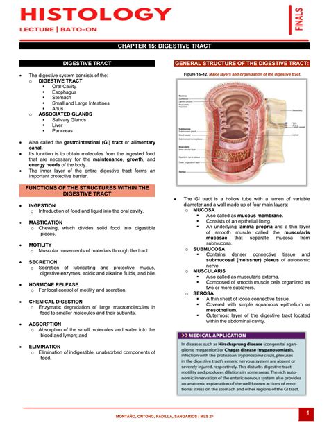 Solution Digestive Tract Histology Studypool