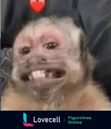 Figurinha "Macaco pensativo com dedo na boca" para WhatsApp | Lovecell