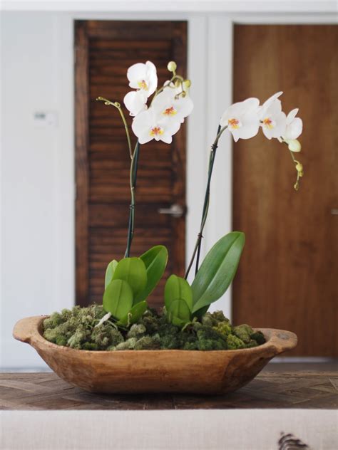 Typical Domestic Babe How To Potted Orchids Displayed In A Dough Bowl