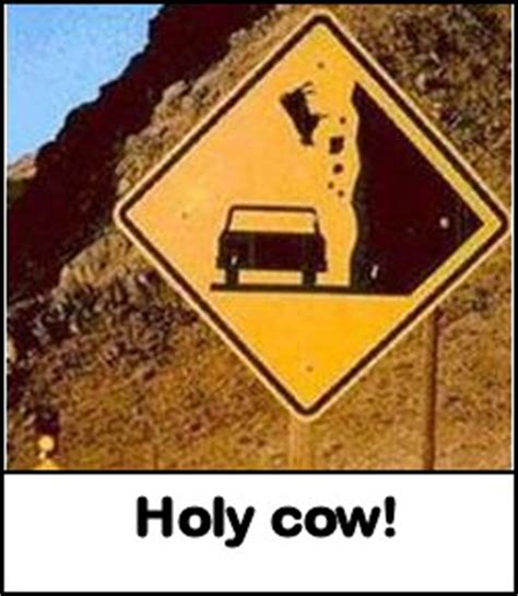 Pictures of Funny Animal Road Signs